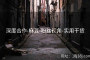 深度合作-麻豆-粉丝视角-实用干货