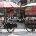 技术拆解！V6.1麻豆app官网终极揭秘