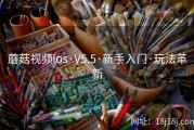 蘑菇视频ios·V5.5·新手入门·玩法革新