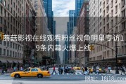 蘑菇影视在线观看粉丝视角明星专访19条内幕火爆上线