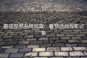 蘑菇视频品牌观察：春节活动观影必备