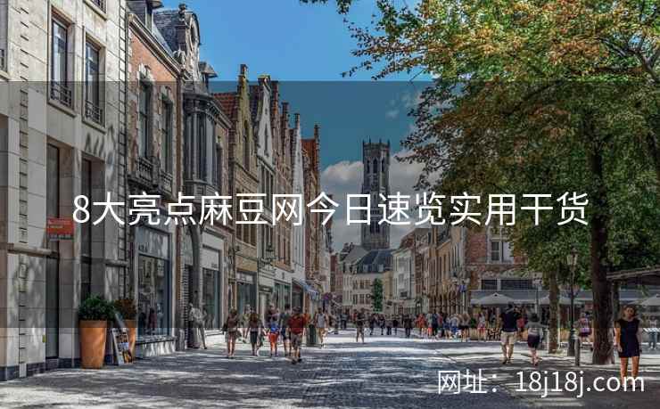 8大亮点麻豆网今日速览实用干货