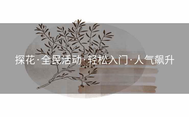 探花·全民活动·轻松入门·人气飙升