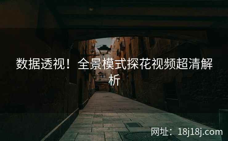 数据透视！全景模式探花视频超清解析