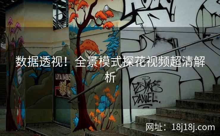 数据透视！全景模式探花视频超清解析