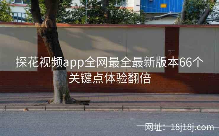 探花视频app全网最全最新版本66个关键点体验翻倍