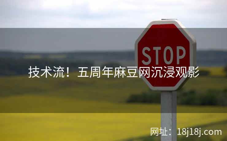 技术流！五周年麻豆网沉浸观影