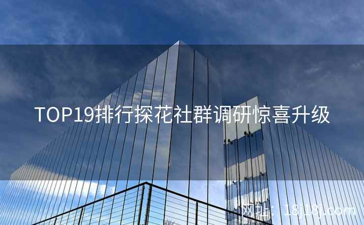 TOP19排行探花社群调研惊喜升级
