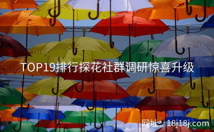TOP19排行探花社群调研惊喜升级