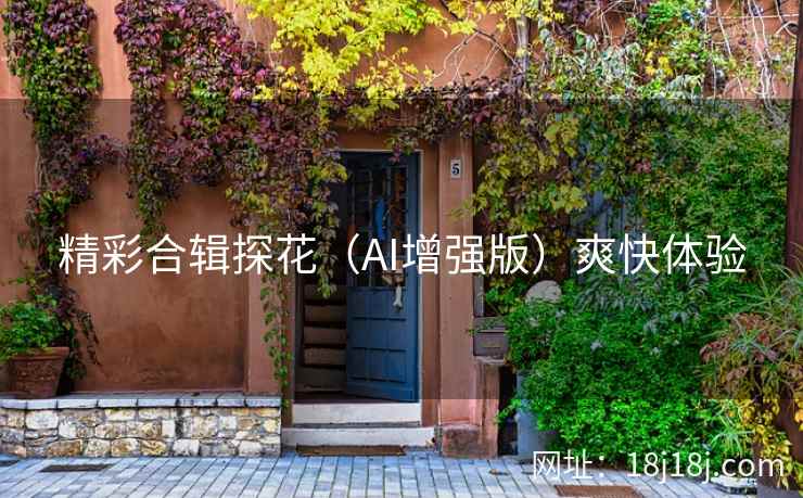 精彩合辑探花（AI增强版）爽快体验