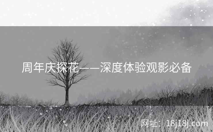 周年庆探花——深度体验观影必备