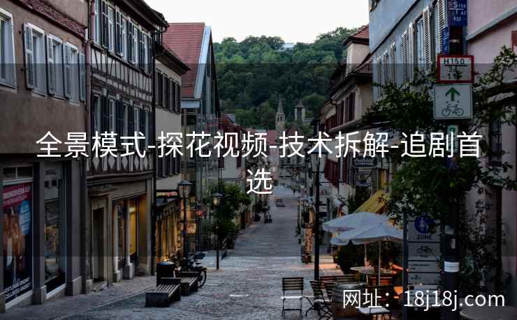 全景模式-探花视频-技术拆解-追剧首选