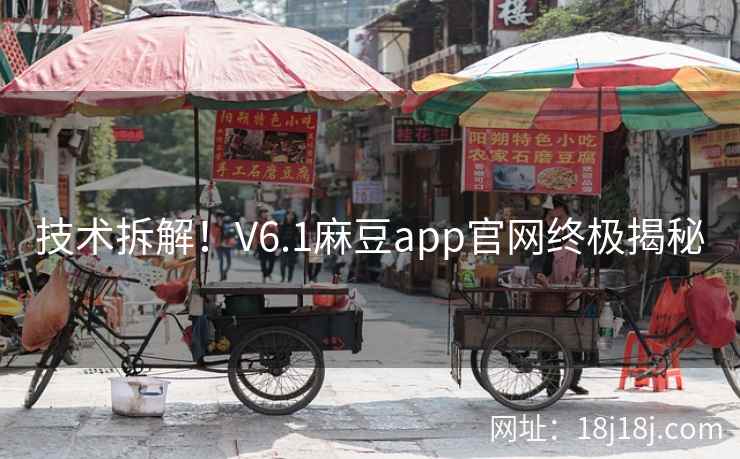 技术拆解！V6.1麻豆app官网终极揭秘