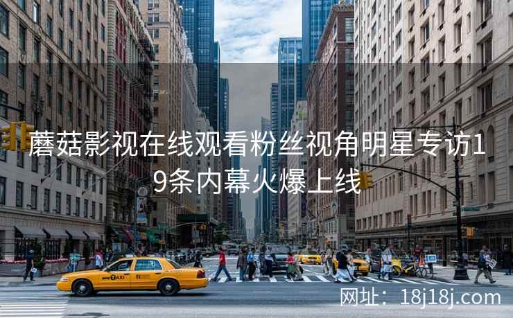 蘑菇影视在线观看粉丝视角明星专访19条内幕火爆上线
